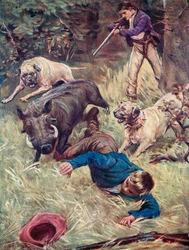Illustration for The Swiss Family Robinson